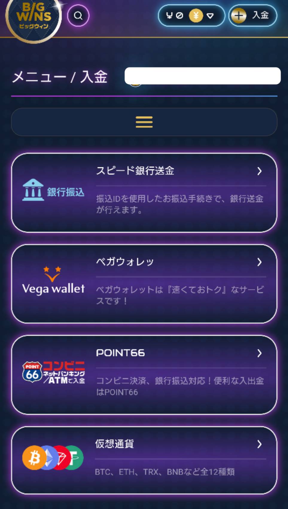 ビッグウィンカジノ(BigWins Casino) 入金手段一覧