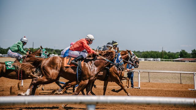 競馬 イメージ