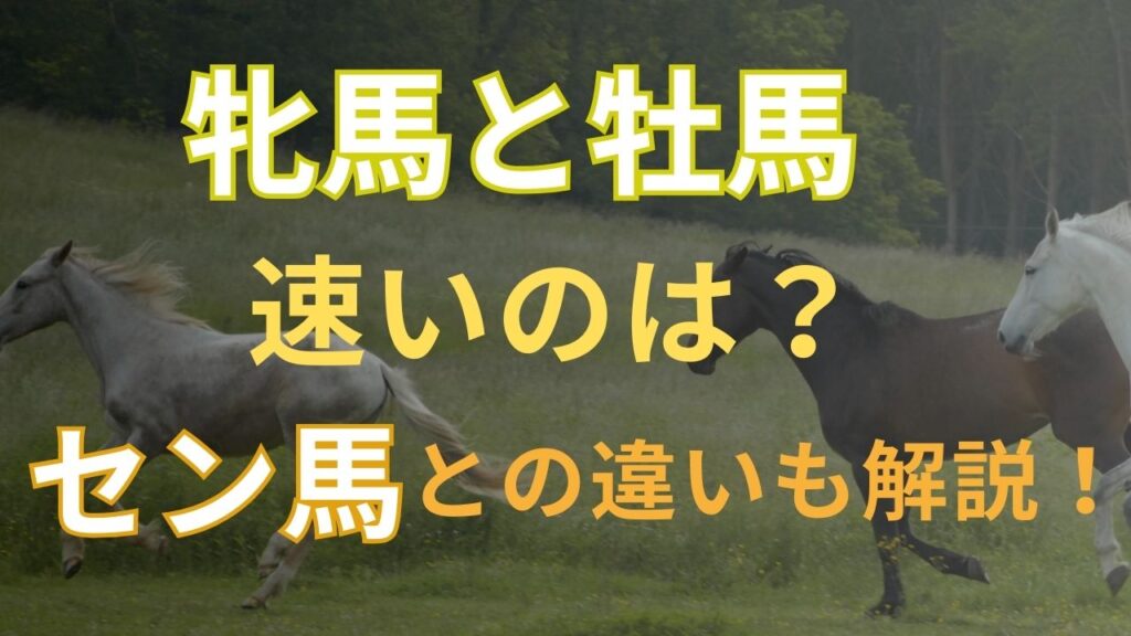 牝馬と牡馬速いのは？セン馬との違いも解説！